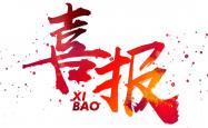 开云体育官网-青年新秀充满潜力，接连取得好成绩！