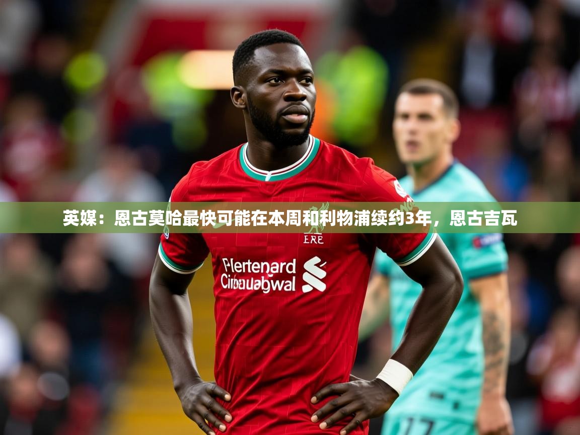 2025开运体育在线英媒:恩古莫哈最快可能在本周和利物浦续约3年,恩古吉瓦 第1张