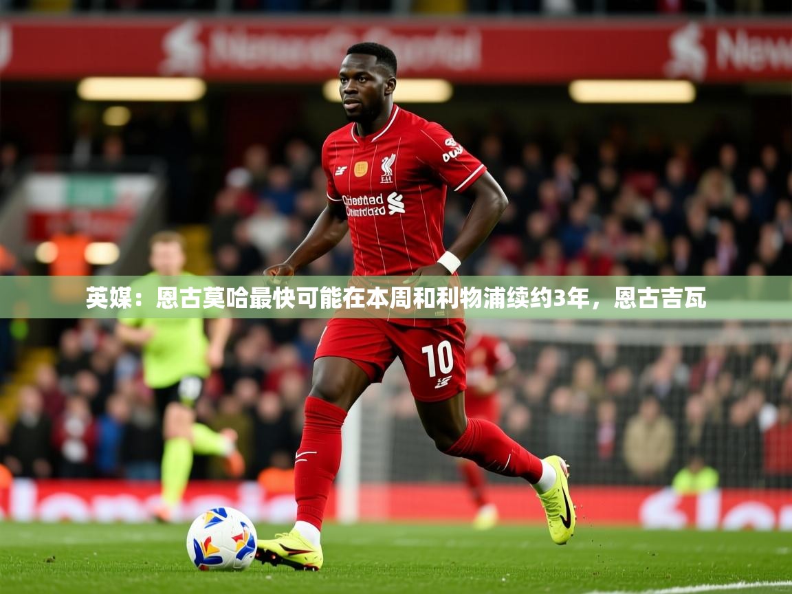 2025开运体育在线英媒:恩古莫哈最快可能在本周和利物浦续约3年,恩古吉瓦 第3张