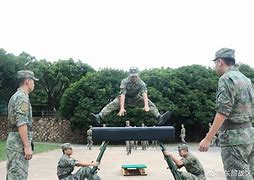 包含训练内容极度严墨丁，刽子手仍宏杰继续表现！的词条